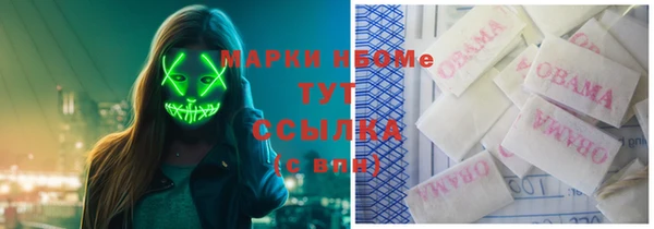прущие грибы Алексин