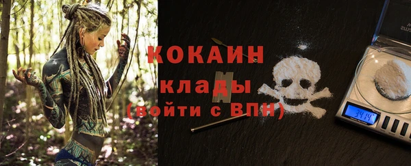 прущие грибы Алексин